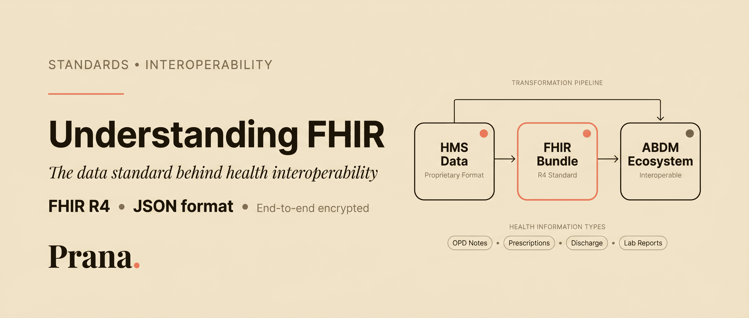 Understanding FHIR: the data standard behind health interoperability
